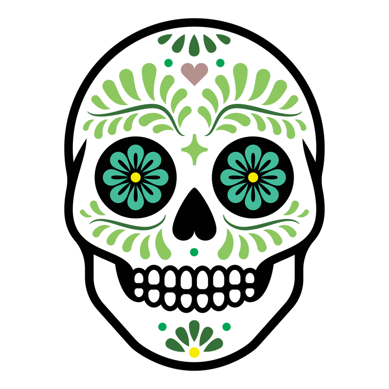 Skull illustration